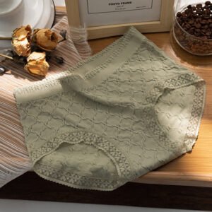 Seamless Lace Brief TLFB001